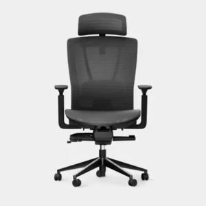 ErgoChair Mesh
